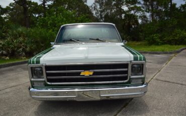 Chevrolet-C-10-1978-19