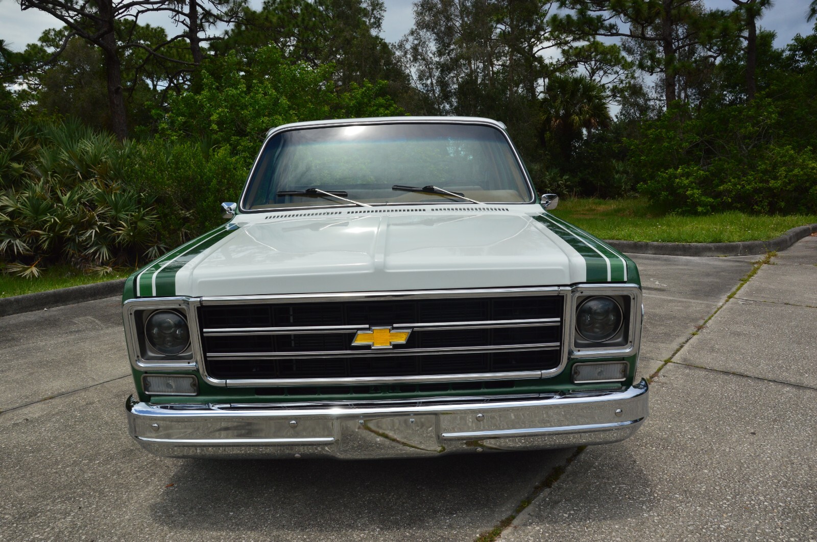 Chevrolet-C-10-1978-19