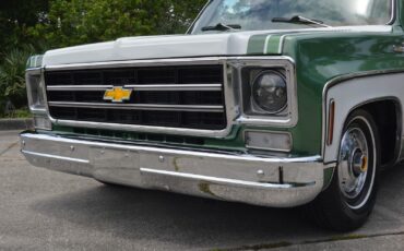 Chevrolet-C-10-1978-2