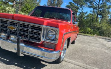 Chevrolet-C-10-1978-2