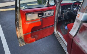 Chevrolet-C-10-1978-2