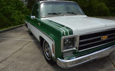 Chevrolet-C-10-1978-20