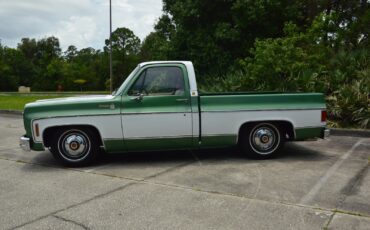 Chevrolet-C-10-1978-21