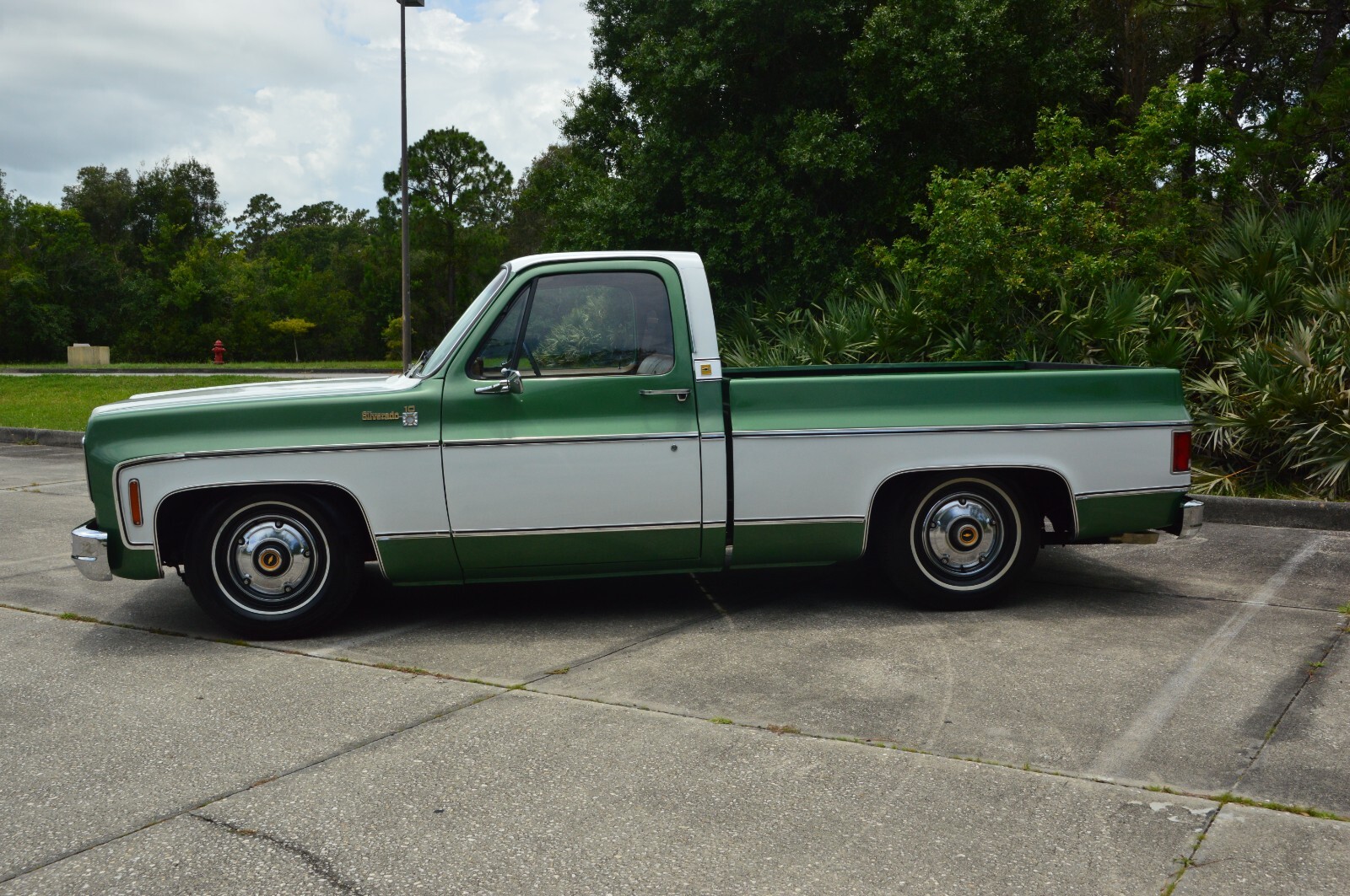 Chevrolet-C-10-1978-21