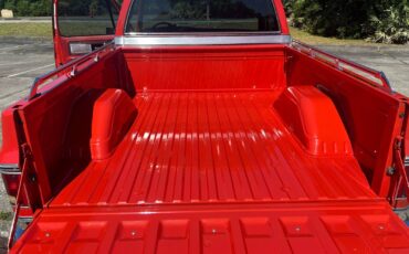 Chevrolet-C-10-1978-22