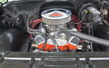 Chevrolet-C-10-1978-23