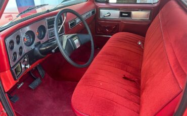 Chevrolet-C-10-1978-24