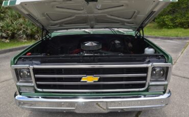 Chevrolet-C-10-1978-25