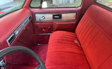 Chevrolet-C-10-1978-26