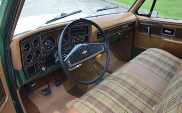 Chevrolet-C-10-1978-26