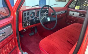 Chevrolet-C-10-1978-27