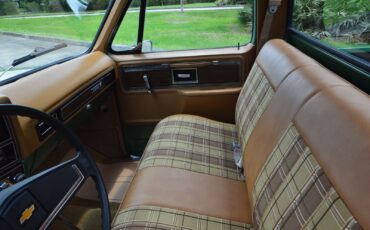 Chevrolet-C-10-1978-27
