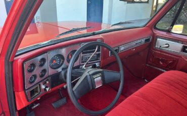 Chevrolet-C-10-1978-29