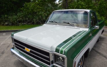Chevrolet-C-10-1978-3