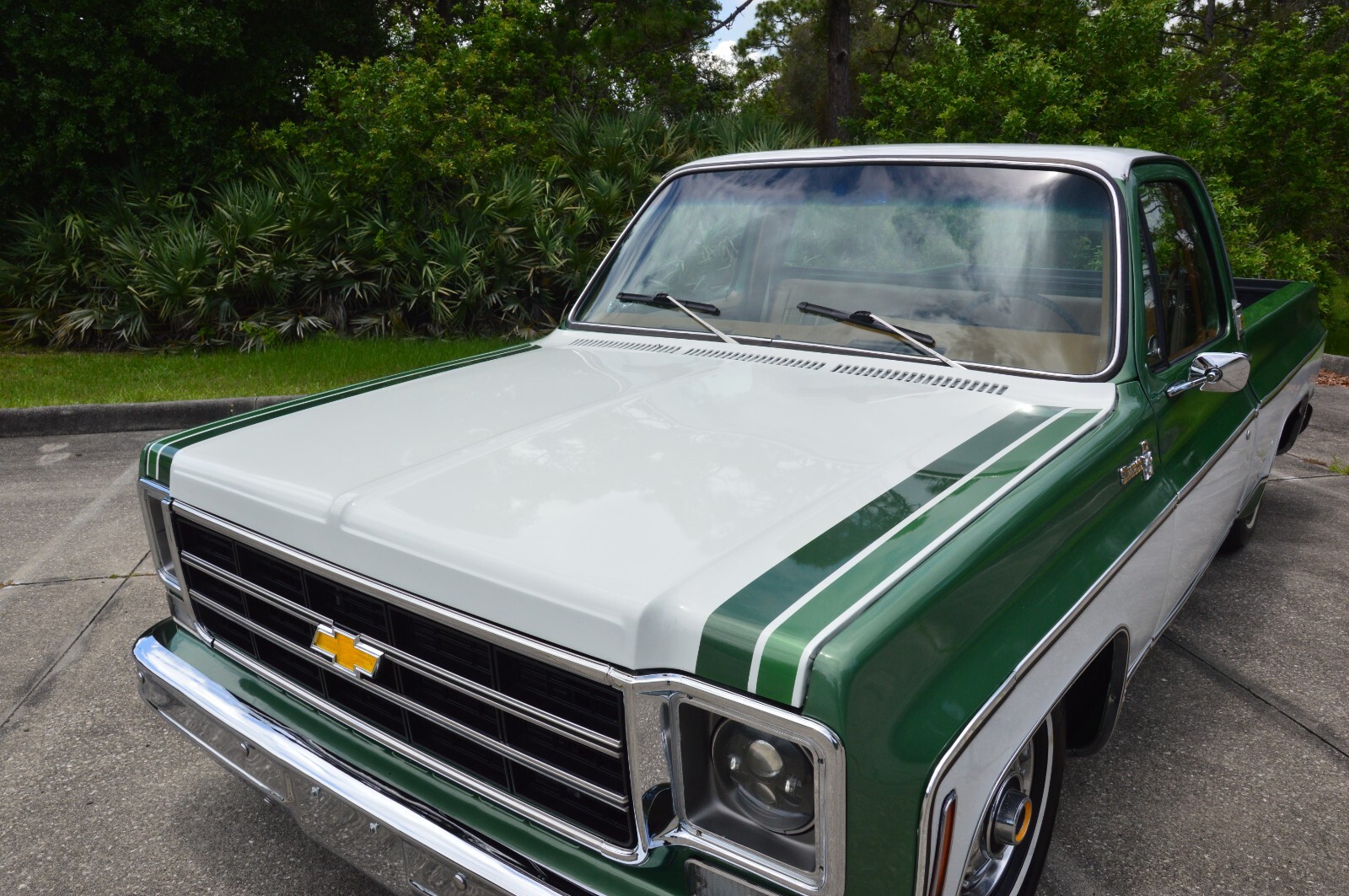 Chevrolet-C-10-1978-3
