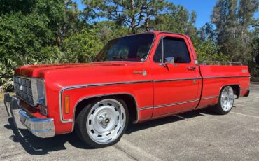 Chevrolet-C-10-1978-3