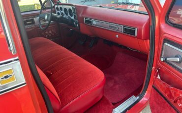 Chevrolet-C-10-1978-30
