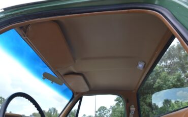 Chevrolet-C-10-1978-30