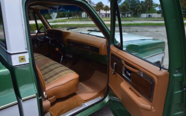Chevrolet-C-10-1978-31