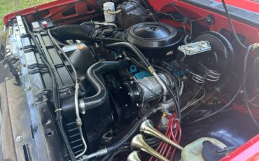 Chevrolet-C-10-1978-32