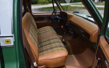 Chevrolet-C-10-1978-32