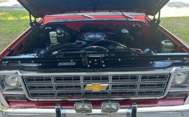 Chevrolet-C-10-1978-33