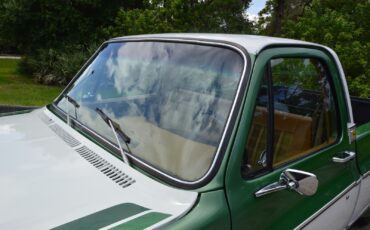 Chevrolet-C-10-1978-4