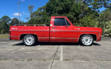 Chevrolet-C-10-1978-4