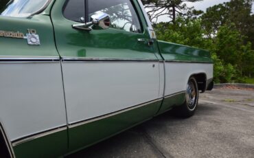 Chevrolet-C-10-1978-5
