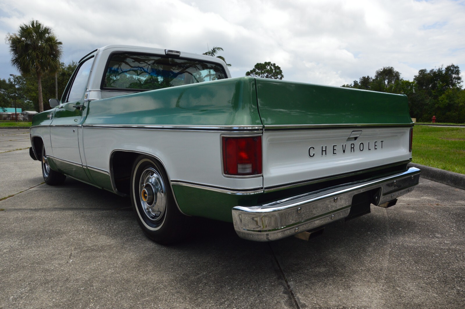 Chevrolet-C-10-1978-6
