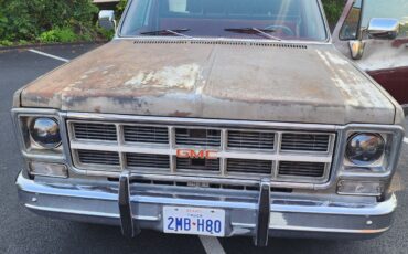 Chevrolet-C-10-1978-6