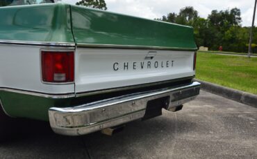 Chevrolet-C-10-1978-7
