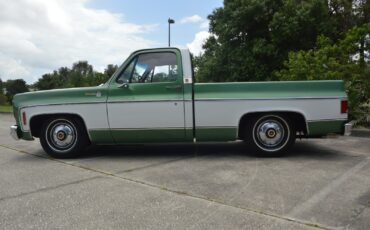 Chevrolet-C-10-1978-8