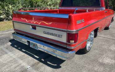Chevrolet-C-10-1978-9