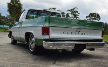 Chevrolet-C-10-1978-9