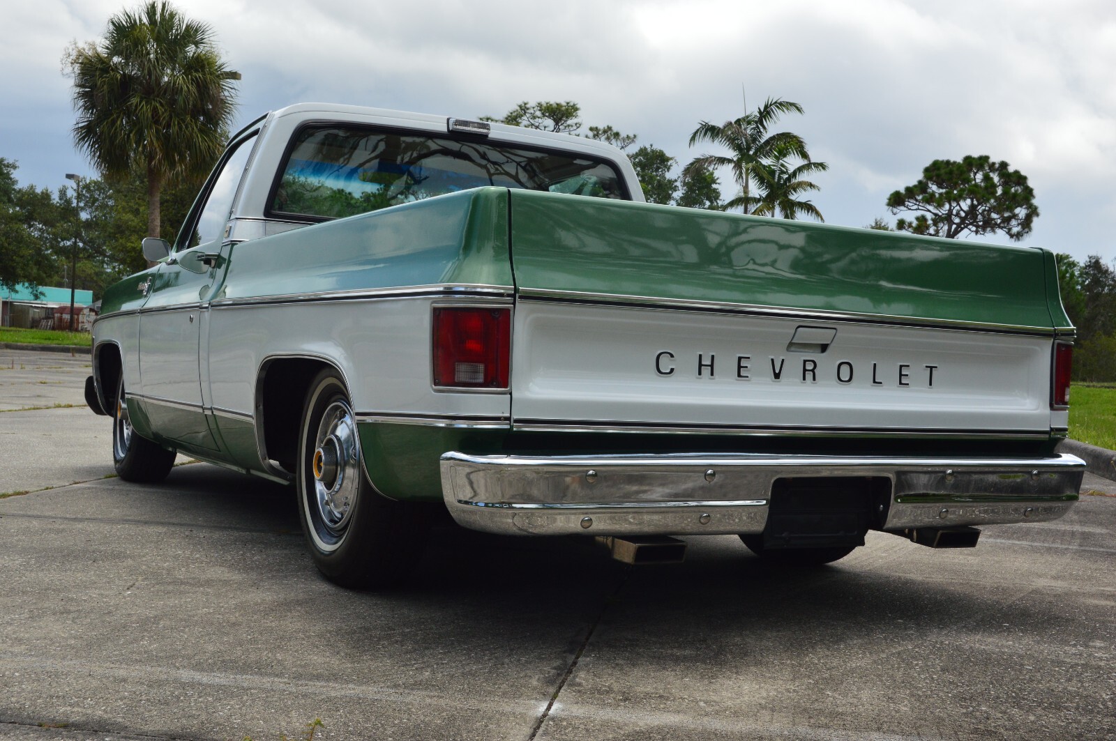 Chevrolet-C-10-1978-9