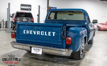 Chevrolet-C-10-1979-Pickup-Truck-15