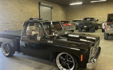 Chevrolet-C-10-1979-Standard-Cab-Pickup-1