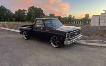 Chevrolet-C-10-1979-Standard-Cab-Pickup-2
