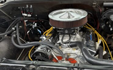 Chevrolet-C-10-1979-Standard-Cab-Pickup-3
