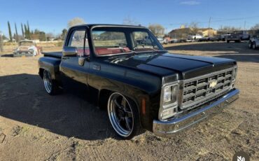 Chevrolet-C-10-1979-Standard-Cab-Pickup