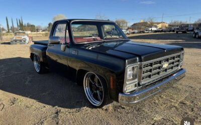 Chevrolet C-10 1979 Standard Cab Pickup