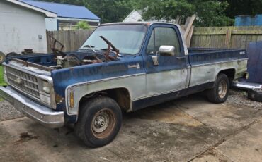 Chevrolet-C-10-1980-Standard-Cab-Pickup-1
