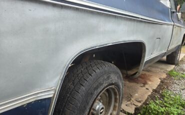 Chevrolet-C-10-1980-Standard-Cab-Pickup-10