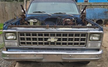 Chevrolet-C-10-1980-Standard-Cab-Pickup