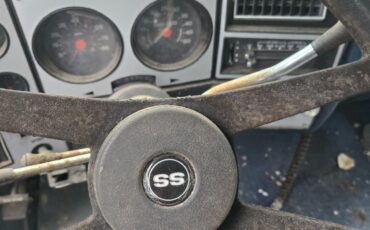 Chevrolet-C-10-1980-Standard-Cab-Pickup-7