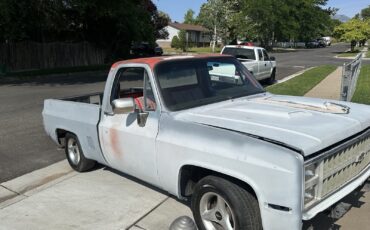Chevrolet-C-10-1981-1