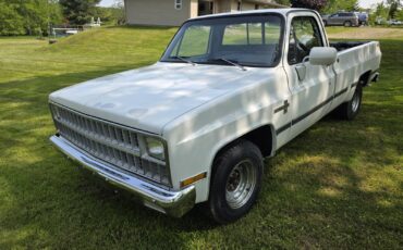 Chevrolet-C-10-1981-1