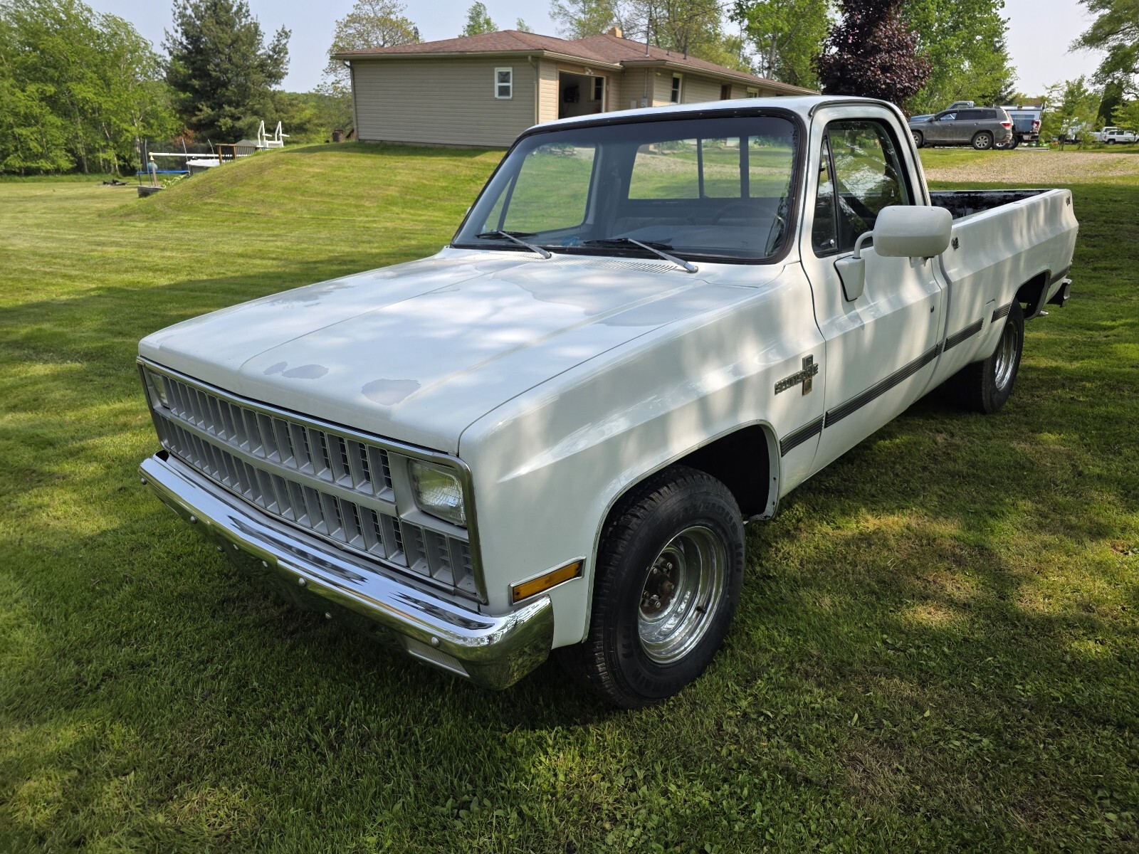 Chevrolet-C-10-1981-1