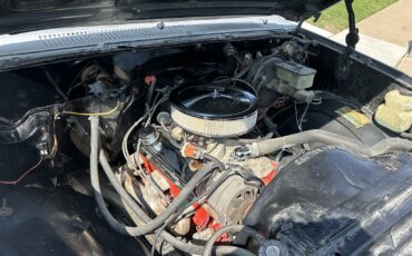 Chevrolet-C-10-1981-10